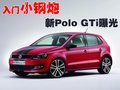 Polo 上海大众 polo劲取图片