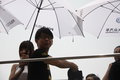 Polo 上海大众 polo劲取图片