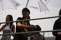 Polo 上海大众 polo劲取图片