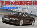 奥迪R8 奥迪(进口) R8