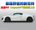 奥迪R8 奥迪(进口) R8图片