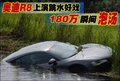奥迪R8 奥迪(进口) R8图片