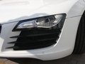 奥迪R8 奥迪(进口) R8 V8图片