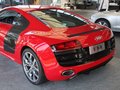 奥迪R8 奥迪(进口) R8 V10图片