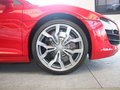 奥迪R8 奥迪(进口) R8 V10图片
