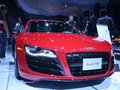 奥迪R8 奥迪(进口) R8图片