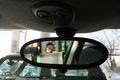 MINI Mini MINI COOPER 內(nèi)后視鏡 圖片