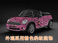 MINI Mini 新MINI Cooper图片