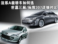 标致307 东风标致 新307 2008款图片
