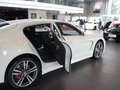 Panamera Panamera Turbo 2010款图片