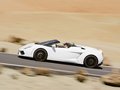 Gallardo 圖片
