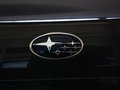 力狮 力狮 2.0 MT 2010款图片