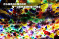 普锐斯 图片