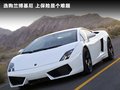 Gallardo 图片