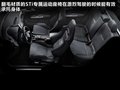 翼豹 图片