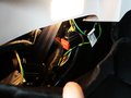 雪铁龙C2 C2 1.4 MT运动型2010款图片