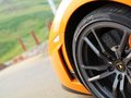 Gallardo 2011款 LP570-4 Superleggera图片