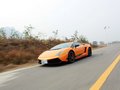 Gallardo 2011款 LP570-4 Superleggera图片
