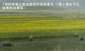 昊锐 图片