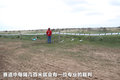 昊锐 图片