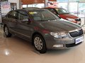 昊锐 2010款 1.4T DSG 优雅版图片