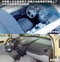 甲壳虫 图片