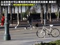甲殼蟲 圖片