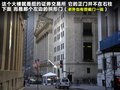 甲殼蟲 圖片