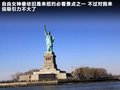 甲殼蟲 圖片
