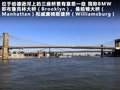 甲殼蟲(chóng) 圖片