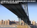 甲殼蟲 圖片