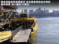 甲殼蟲 圖片