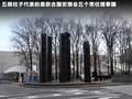 甲殼蟲 圖片