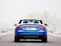 奥迪A5 S5 3.0T 敞篷版2010款 试驾图片