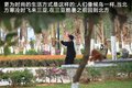 大众EOS 图片