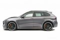 卡宴 Cayenne 4.8LS 5座2011款