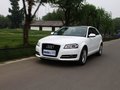 奥迪A3(进口) 奥迪A3 1.8T尊贵型 2010款图片