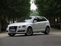 奥迪A3(进口) 奥迪A3 1.8T尊贵型 2010款图片