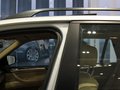 宝马X5(进口) 2011款 xDrive35i 领先型图片