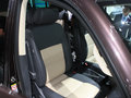 Passat 图片