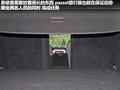 Passat 图片