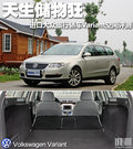 Passat 图片
