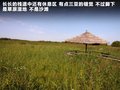 威志V2 图片