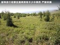 威志V2 图片