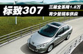標(biāo)致307 圖片