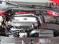 明锐 2010款 2.0TSI DSG 明锐RS图片