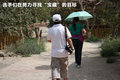 奥迪A4L 图片