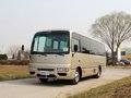 碧莲 2011款 碧莲图片