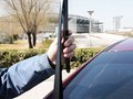 歌诗图 图片