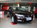 福瑞迪 图片